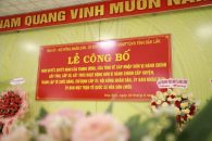 LỄ CÔNG BỐ XÃ HÒA SƠN MỚI – DẤU MỐC LỊCH SỬ 30/6